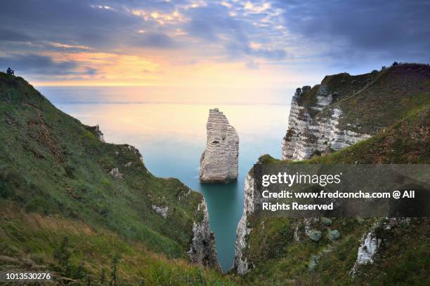 view on the cliffs d'aval at sunset, etretat, normandy, france. - haute normandie 個照片及圖片檔