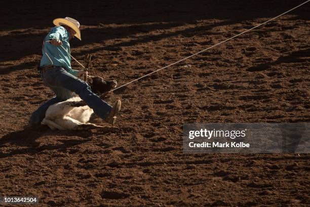 Calf Riding Rope 27 Calf Sound Stock Photos, High-Res Pictures, and Images - Getty Images