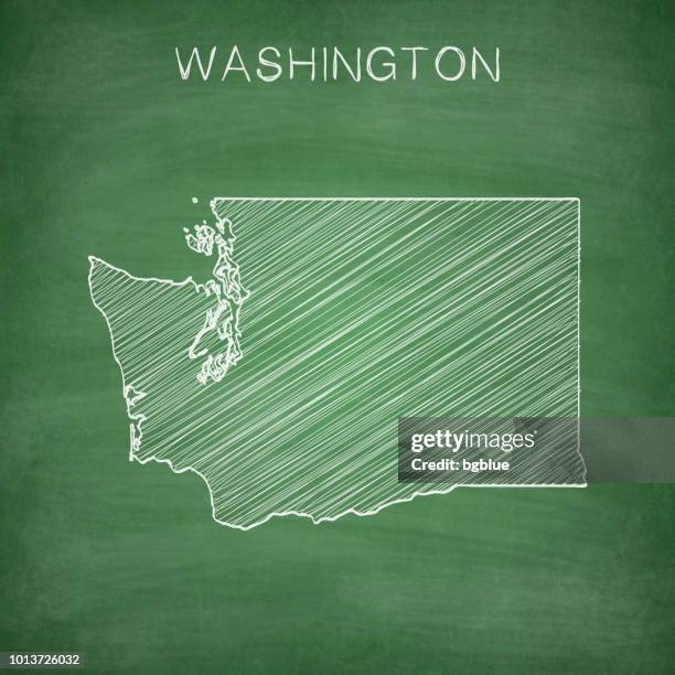 washington map drawn on chalkboard - blackboard - seattle map stock illustrations