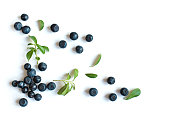 Fresh blueberries with leaves