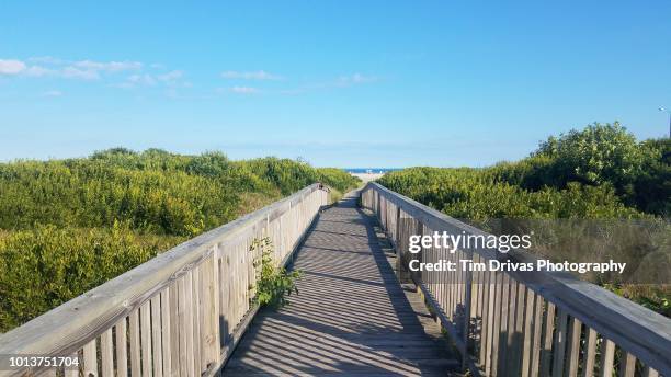 path to the beach - jersey shore stock pictures, royalty-free photos & images