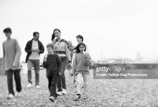 family biking in brighton, england - family with five children stock pictures, royalty-free photos & images