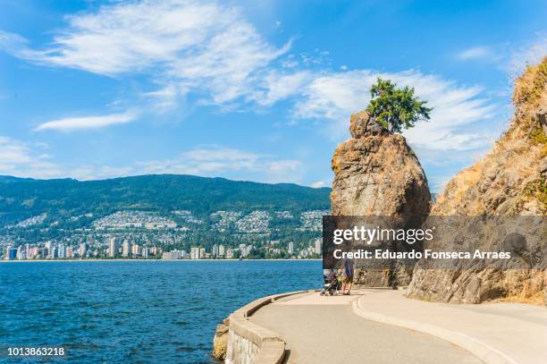 stanley park - stanley park vancouver canada stockfoto's en -beelden