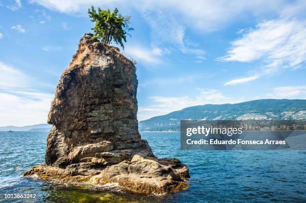 stanley park - english bay stock pictures, royalty-free photos & images