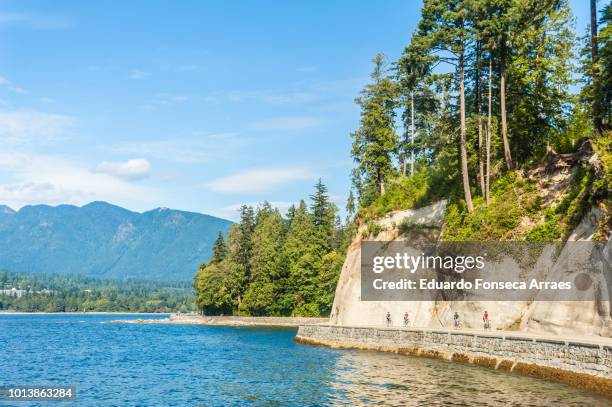 stanley park - stanley park vancouver canada stock pictures, royalty-free photos & images