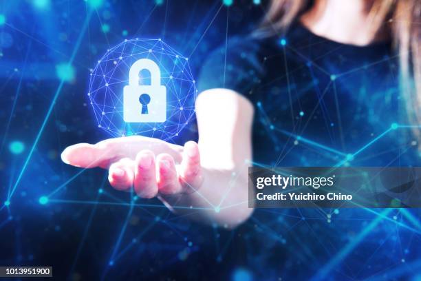 network security - data trust stock pictures, royalty-free photos & images