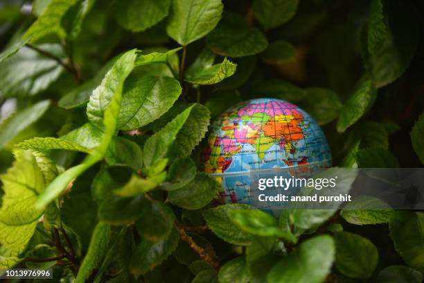globe or earth in green leaves background - world environment day - world earth day in india stock-fotos und bilder