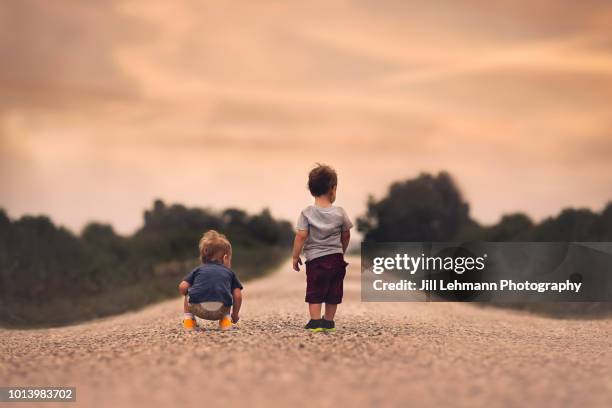 2 year old fraternal twin boys stand on a gravel road in the iowa summer - twins boys stockfoto's en -beelden