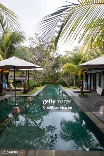 tropical villa among palm trees at swimming pool with turquoise water - bali stock pictures, royalty-free photos & images