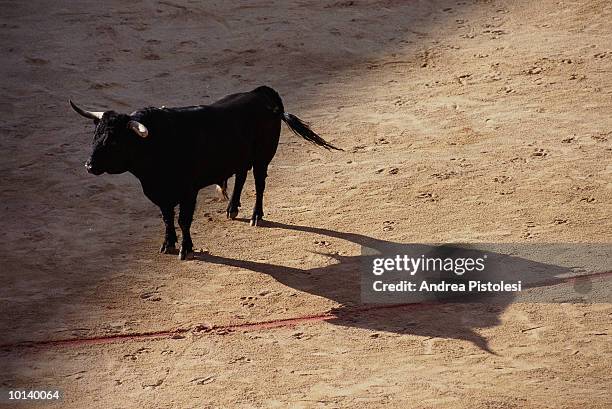 fiesta, corrida, pamplona, spain - pamplona stockfoto's en -beelden