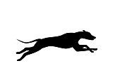 running dog silhouette in black color vector