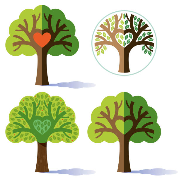 Hro Tree 129 Tree Roots Logo High Res Illustrations - Getty Images