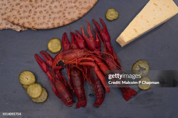 crayfish parties (kräftskiva) are traditional in sweden during august. the crayfish boiled with dill are served with hard bread, cheese and snaps. - crayfish stock pictures, royalty-free photos & images