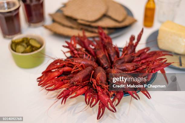 crayfish parties (kräftskiva) are traditional in sweden during august. the crayfish boiled with dill are served with hard bread, cheese and snaps. - freshwater crayfish photos et images de collection