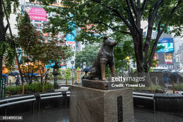 hatchiko statue near shibuya crossing - statua di hachiko a shibuya foto e immagini stock