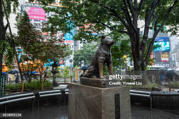151 Shibuya Hachiko Statue Stock Photos, High-Res Pictures, and