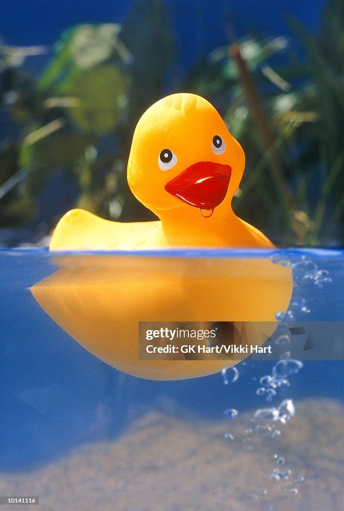 RUBBER DUCKY