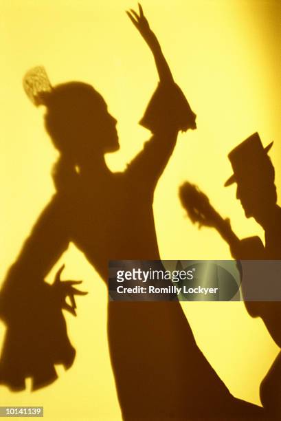 shadow of flamenco dancer and guitarist performing - flamenco stock-fotos und bilder