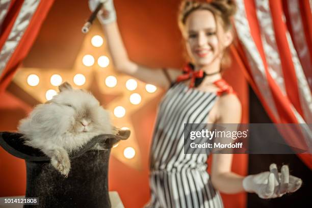 conejo en el sombrero. diversión mágica ilusión - truco de magia fotografías e imágenes de stock
