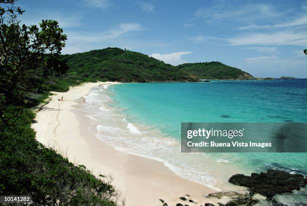 macaroni beach, mustique, grenadines, caribbean - mustique stock pictures, royalty-free photos & images