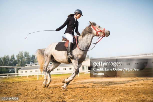 cheerful young woman riding horse - rebenque imagens e fotografias de stock
