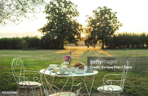 dinner table at sunset close up, loire valley - french garden stock-fotos und bilder