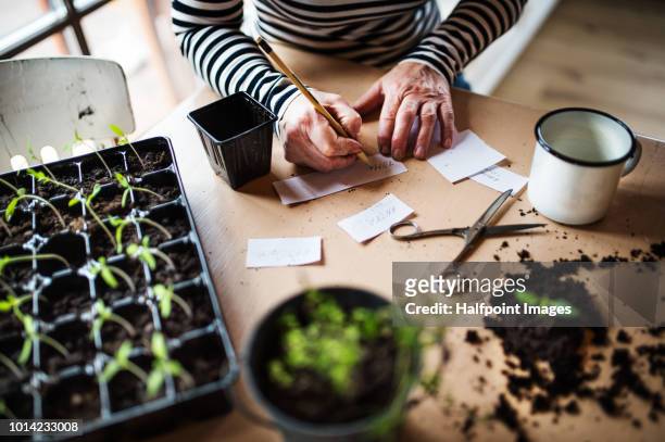 An unrecognizable woman writing labels for plant seedlings.