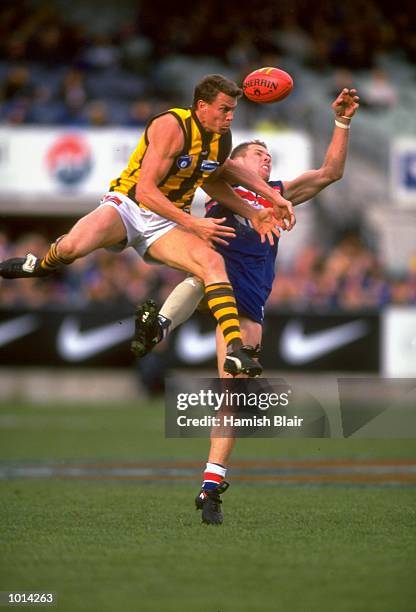 12 Brendan Krummel Stock Photos, HighRes Pictures, and Images Getty