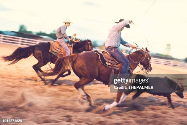Memphis Roping Rodeo Team Roping 1,221 Rodeo Team Roping Stock Photos, High-Res Pictures, and Images ...