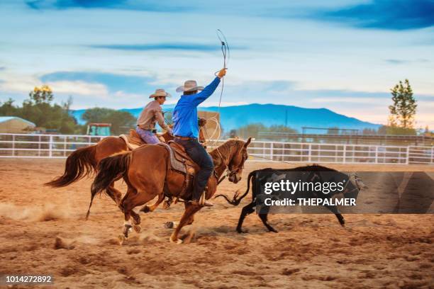 1,801 Team Roping Images Stock Photos, High-Res Pictures, and Images ...