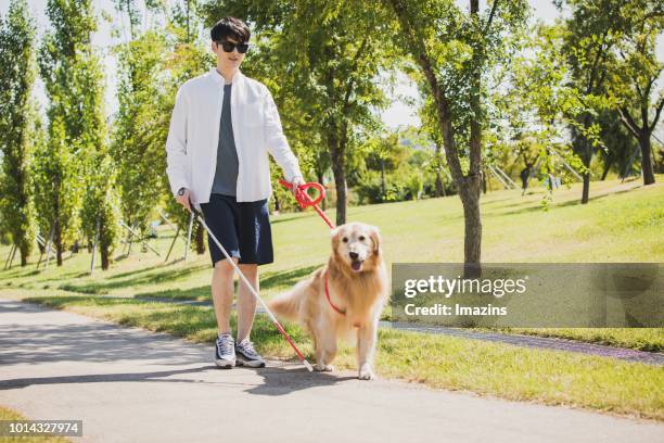 a guide dog and blind man taking a walk - blind man ストックフォトと画像