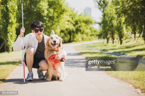 a guide dog and blind man taking a walk - 盲導犬 ストックフォトと画像