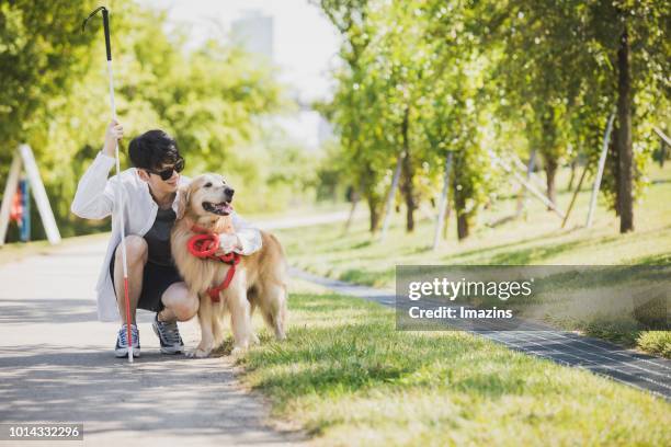 a guide dog and blind man taking a walk - visual impairment stock-fotos und bilder