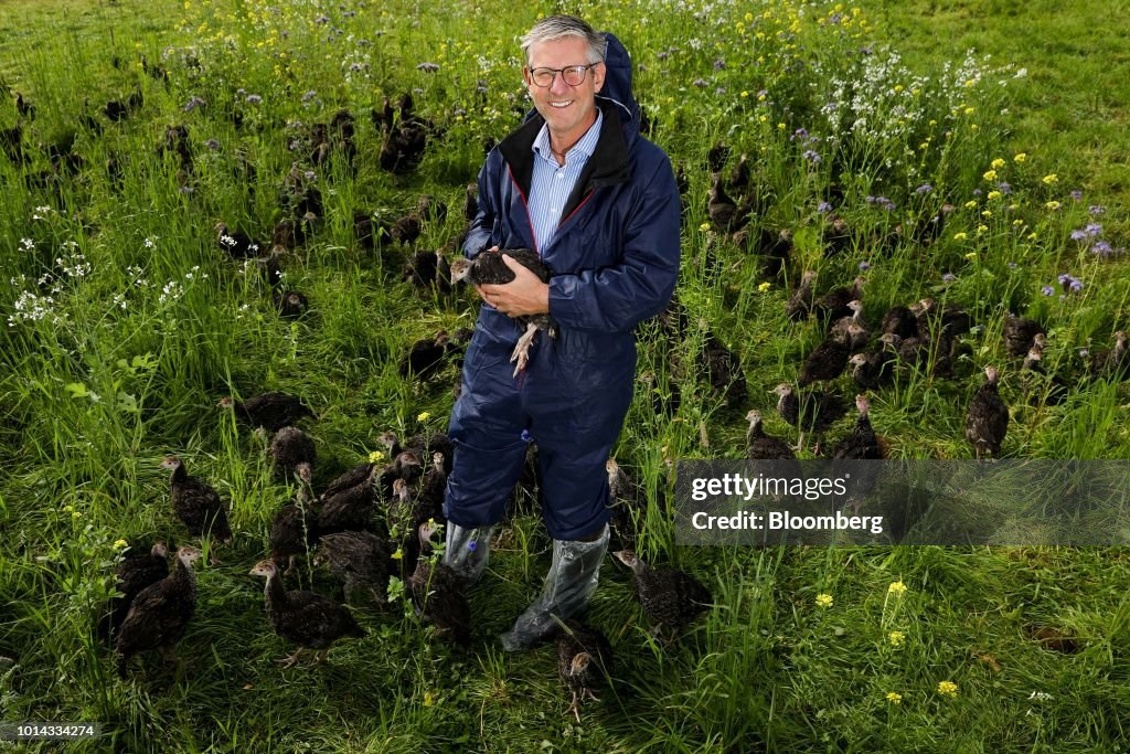 U.K. Poultry Farming On Brexit's Front Lines