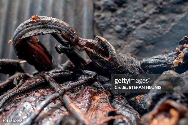 Smoked monitor lizard is seen at the Baga fish market in Maiduguri on July 31, 2017. - The fish trade in Borno State has long been a lucrative...
