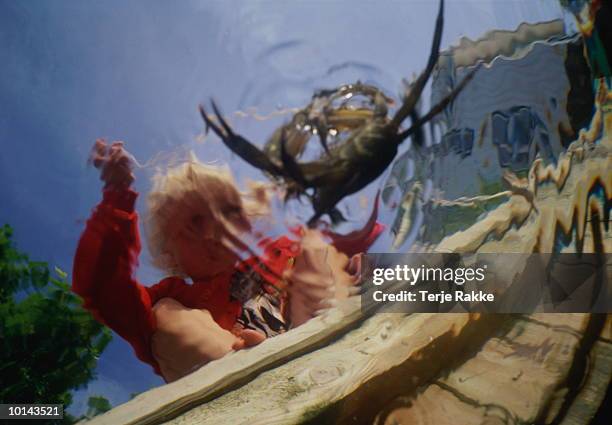 Distortion Fish 233 Underwater Distortion Stock Photos, High-Res Pictures, and Images ...