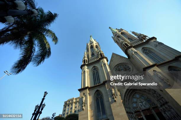 catedral da sé - se cathedral bildbanksfoton och bilder