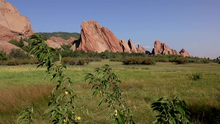 Red Rocks Wild 15 Wild Oak Trail Stock Videos, Footage, & 4K Video Clips - Getty Images