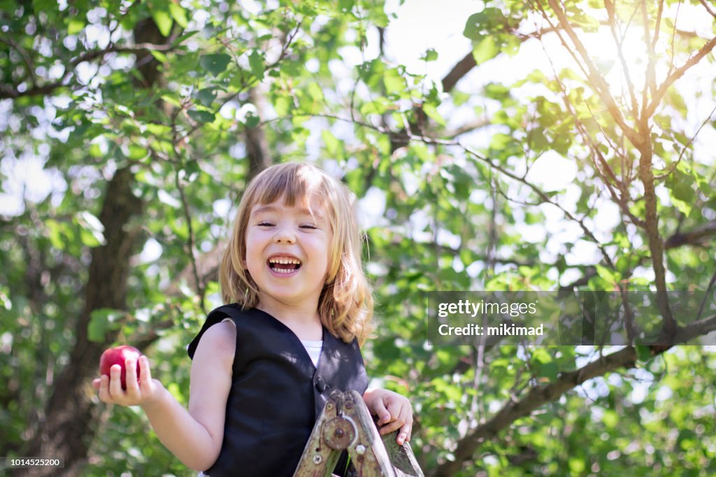 Schattige kleine kind plukken vruchten