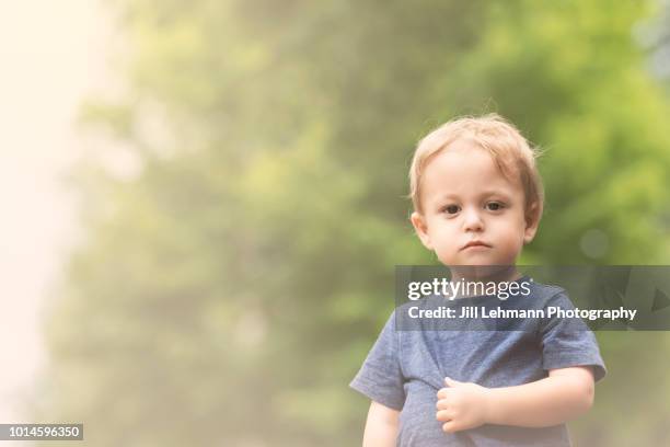 portrait of a serious blonde male 2 year old toddler wearing blue shirt - dark baby stock pictures, royalty-free photos & images