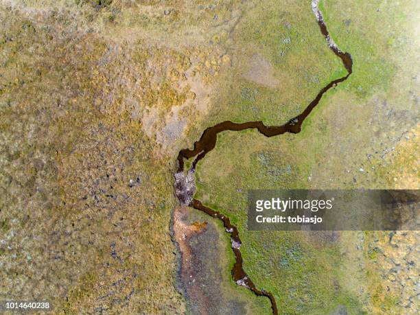 rivier langs een groene savannelandschap - jamtland stockfoto's en -beelden