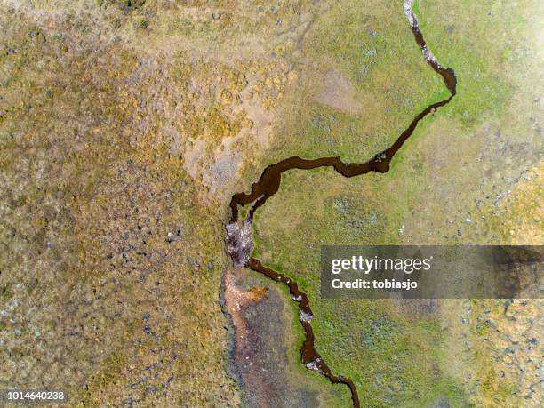 river passing through a green savannah landscape - jamtland stock pictures, royalty-free photos & images