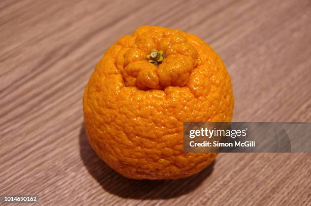 dekopon (citrus reticulata) also known as a sumo mandarin orange - cellulite foto e immagini stock