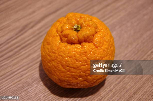 dekopon (citrus reticulata) also known as a sumo mandarin orange - cellulit bildbanksfoton och bilder