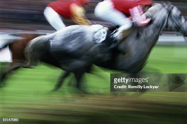 horseracing normandy, france, speed, competition - corrida de cavalos evento equestre - fotografias e filmes do acervo