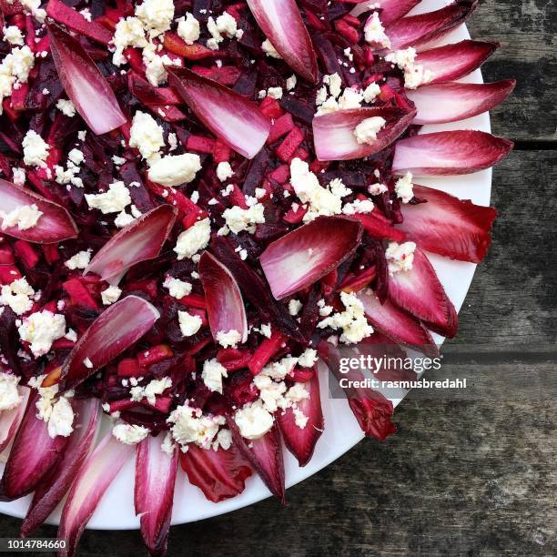 red endive salad with feta cheese - radicchio stockfoto's en -beelden