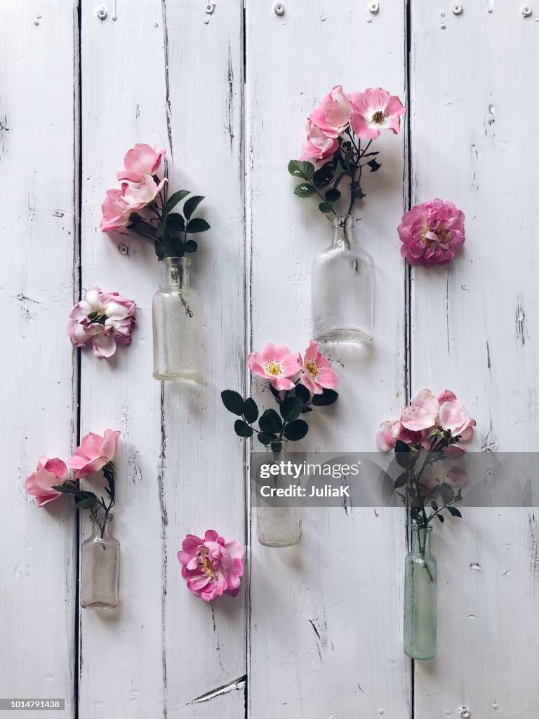 Pink roses in glass bottles