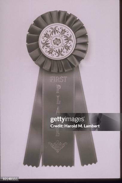 First Place Dog Ribbon 15,702 First Place Ribbon Stock Photos, High-Res Pictures, and Images ...