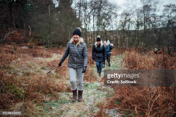women walking in the winter - british culture walking stock pictures, royalty-free photos & images