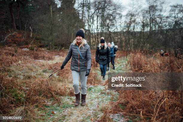 women walking in the winter - christmas in the woods stock pictures, royalty-free photos & images